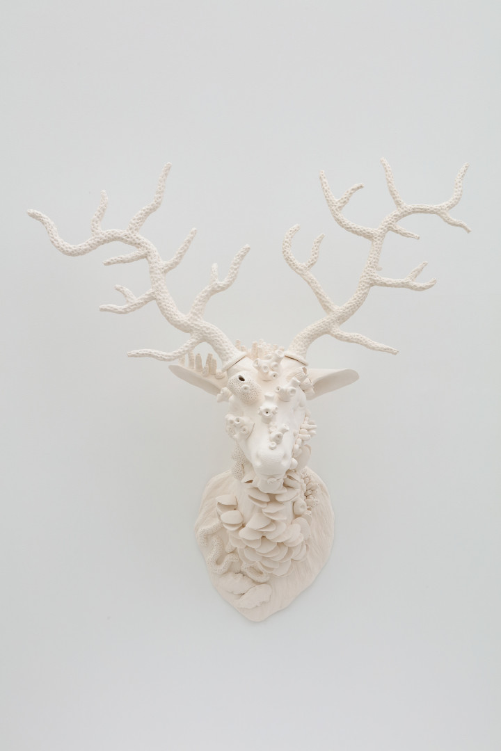 <em><noscript><img width=